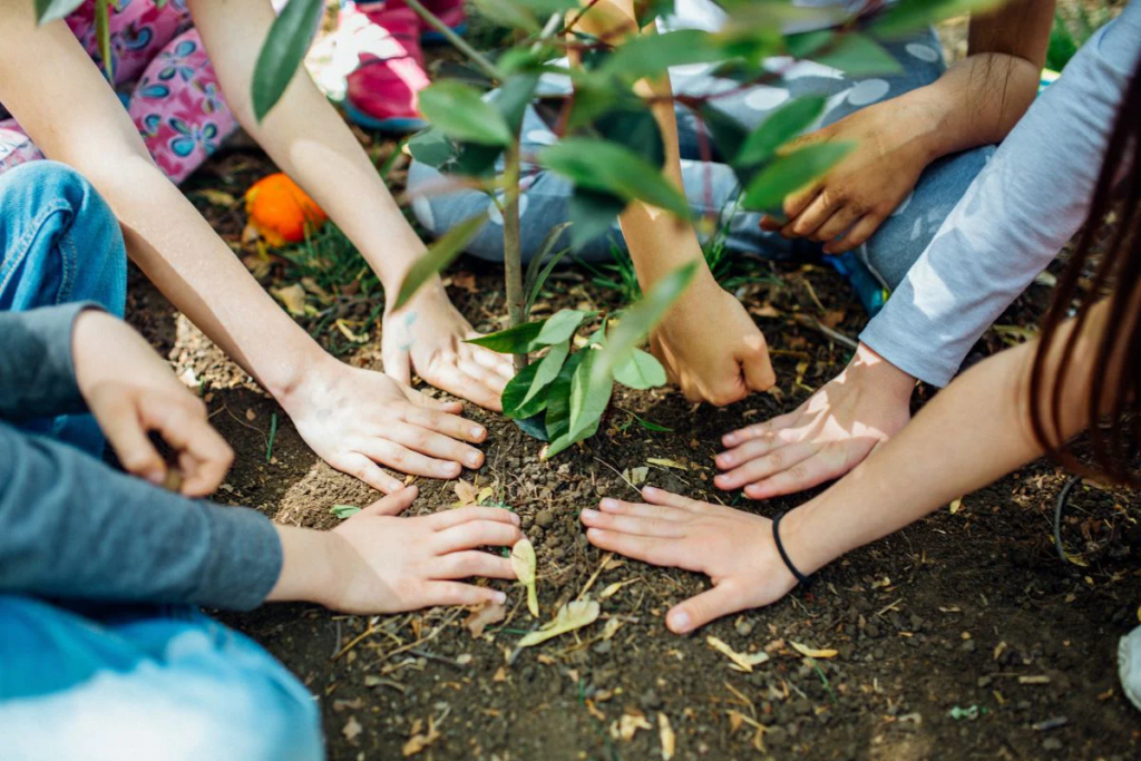 World Environment Day Activities: How to Get Involved and Make a Difference