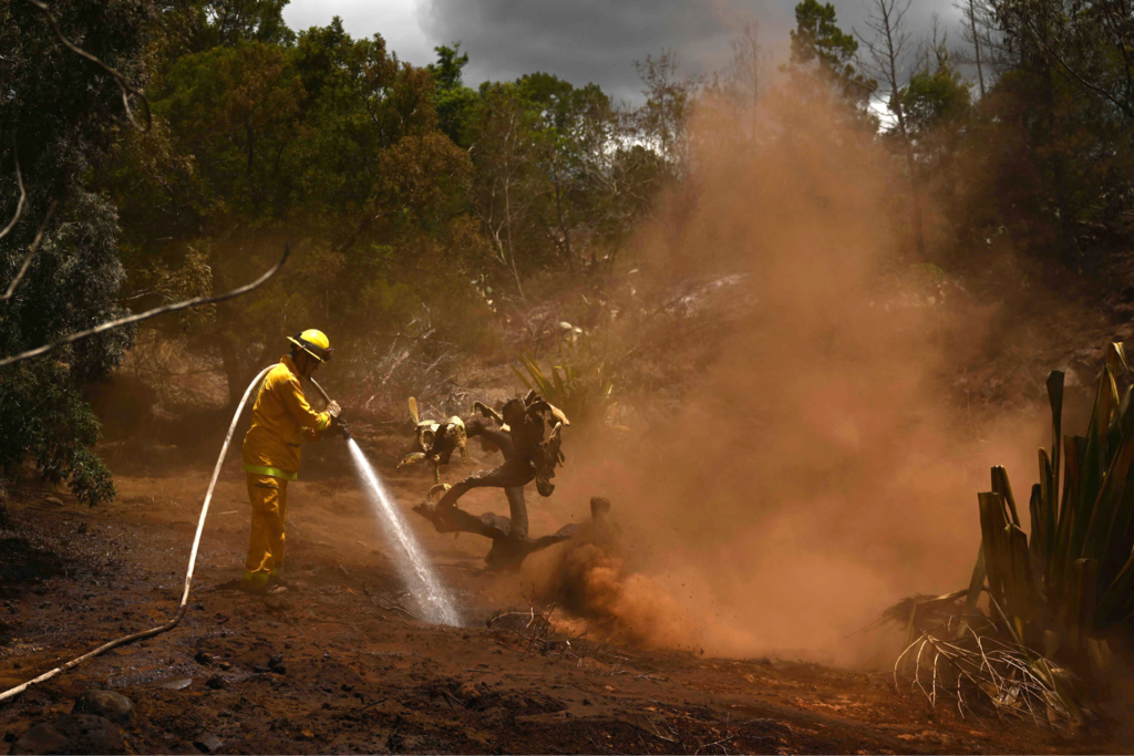 Lessons Learned and Future Prospects of Maui Firestorm